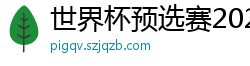 世界杯预选赛2024年赛程中国